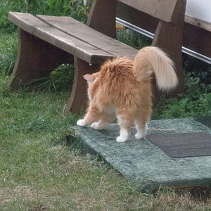 Ruby geht gerade richtig gut