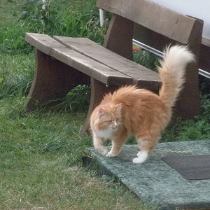 Ruby in ihrem Lieblingsgarten