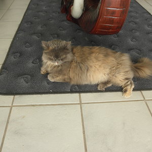 Elly macht mal eine Pause