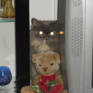 Elly erkundet jede Ecke