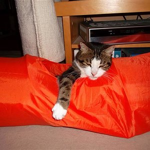 Friedrich in seinem tunnel