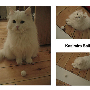 Kasimirs Ball