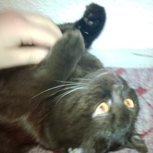 Bitte nicht aufhören.