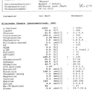 Blutbild Minou
04.02.2013
Seite 1