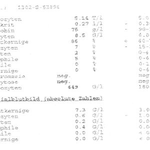 Blutbild Minou
04.02.2013
Seite 2