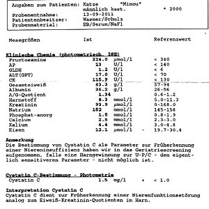 Blutbild Minou
13.09.2011
Seite 1