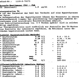 Blutbild Minou
13.09.2011
Seite 2