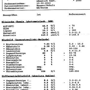 Blutbild Minou
10.02.2012