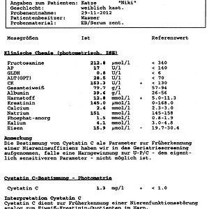 Blutbild Nici
29.11.2012
Seite 1