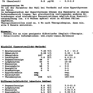 Blutbild Nici
29.11.2012
Seite 2