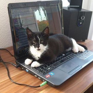 156485 475351689171030 841832211 n