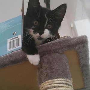 525640 479712892068243 1300310351 n