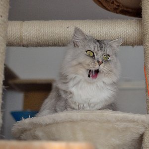 Hey! Schaut mal alle her!