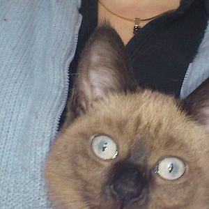 Schoki.... sie liebt es im Pullober getragen zu werden...:)