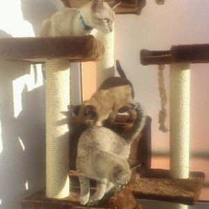 Auf dem verglasten Balkon die ersten Sonnenstrahlen geniesen :)