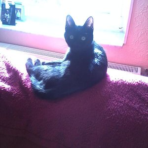 Die ersten Sonnenstrahlen geniessen :)