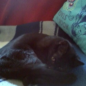 Kopp weg und Pennen :)