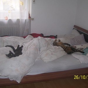 klein Loki ahmt Hugo nach ^^