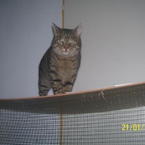 Hugo ist der King XD 
btw. er steht auf dem Hasenstall