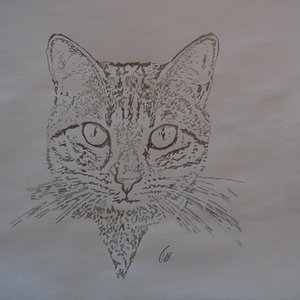 Nach langer Zeit hatte ich mal wieder einen Stift in der Hand.