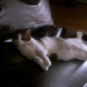 Sich recken bringt...