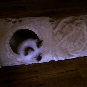 Gleich steh' ich auf, bestimmt.