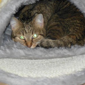 Mini in neuer Höhle