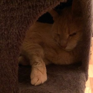 Am Sonntag, 4 Tage nach der op er hat den ganzen Tag gespuckt