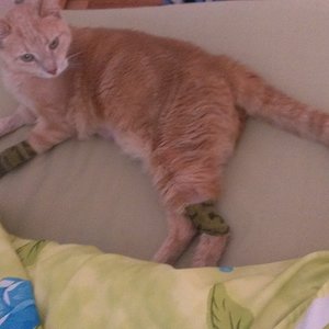 Freitags, Zuhause zwei Tage nach der op