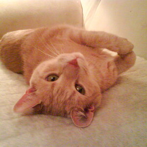 Nachdem die kleine eingezogen ist