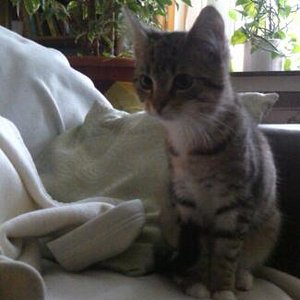 IMG 20130224 100207 1