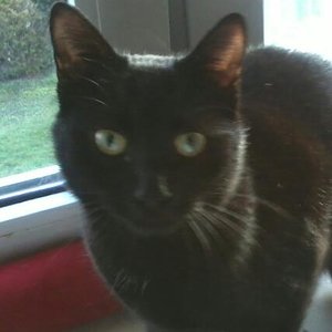 2013 02 05 15.53.15 1