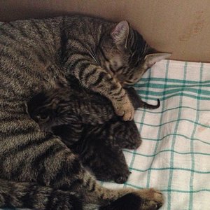 IMG 20130318 WA0003   Kopiert