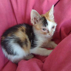 an dem tag als wir sie holten =/