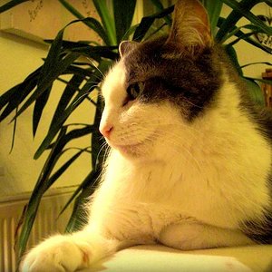 533617 4031112102811 1334912277 n