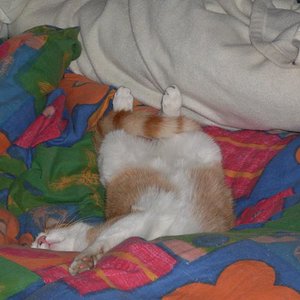 Ob das bequem ist...