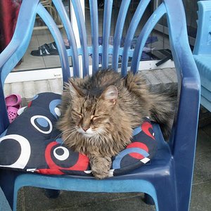 Der Sonnenanbeter, Winter fand unser Norweger immer doof...