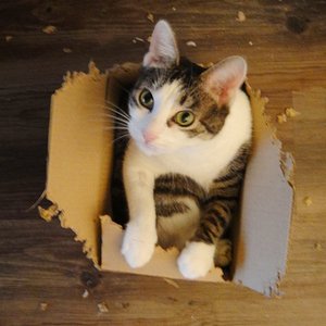 Je kleiner der Karton, umso besser! :)