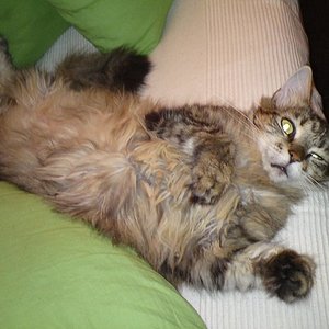 Entspannen auf der Couch.