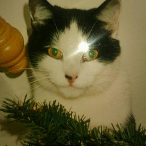 Pünktchen 
Juni2000-15.10.12