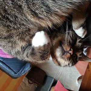 luna total entspannt