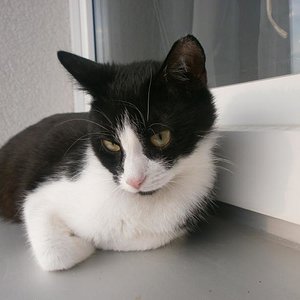 ....blos nicht hinsehen... eine Kamera