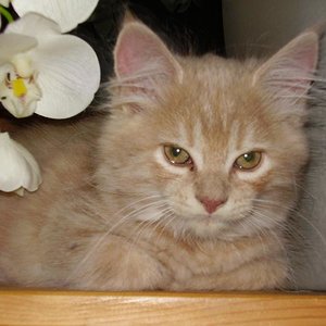 auf dem Bild bin ich 16 Wochen alt