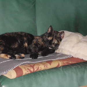 Lieblingsbeschäftigung