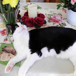 03.04.2013 11 52 15 0007