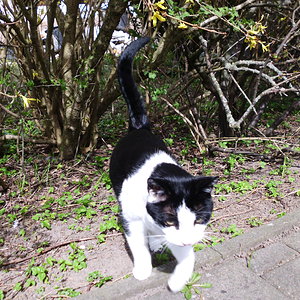 30.04.2013 14 00 00 0019