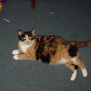 das ist unsere werdende mama Daya