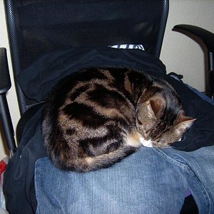 das ist unsere Ginger