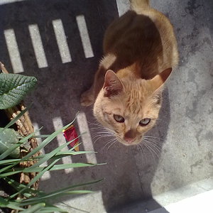 Ich will auch ein Eis!!!