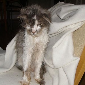 Bei seiner Ankunft bei uns